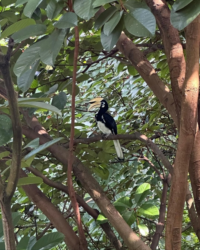 Công viên Kent Ridge Singapore