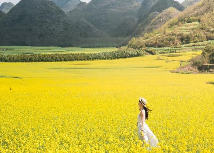 Những điểm du lịch đón xuân ở Trung Quốc tuyệt đẹp lung  linh 