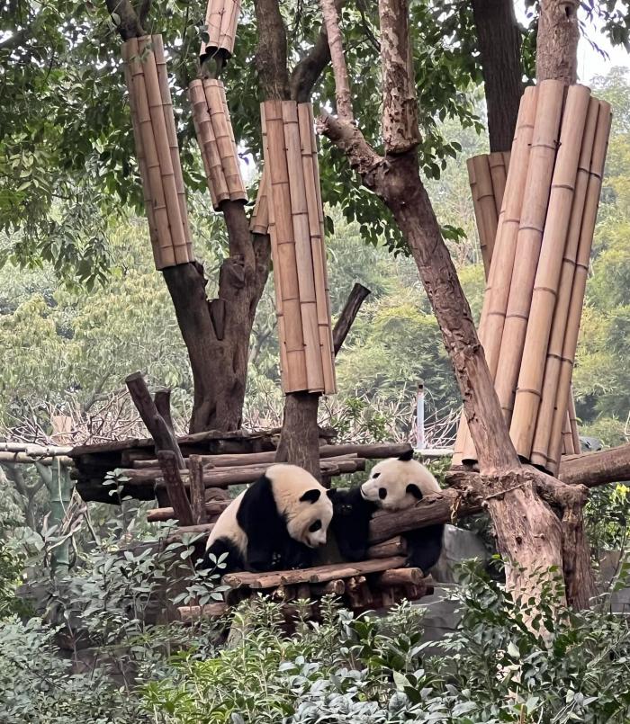 Kinh nghiệm du lịch Thành Đô