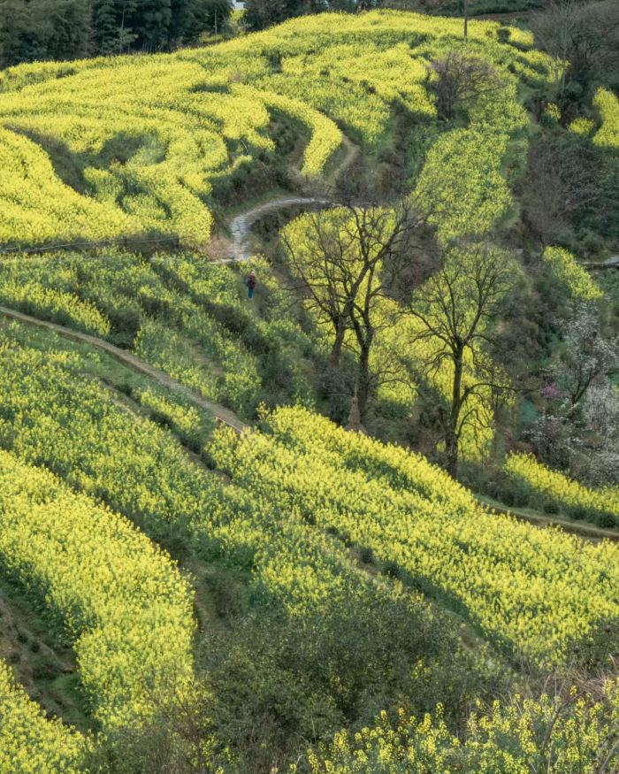 làng cổ Vụ Nguyên