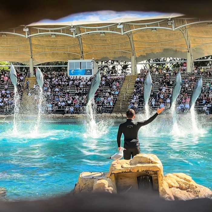 công viên Sea World Úc