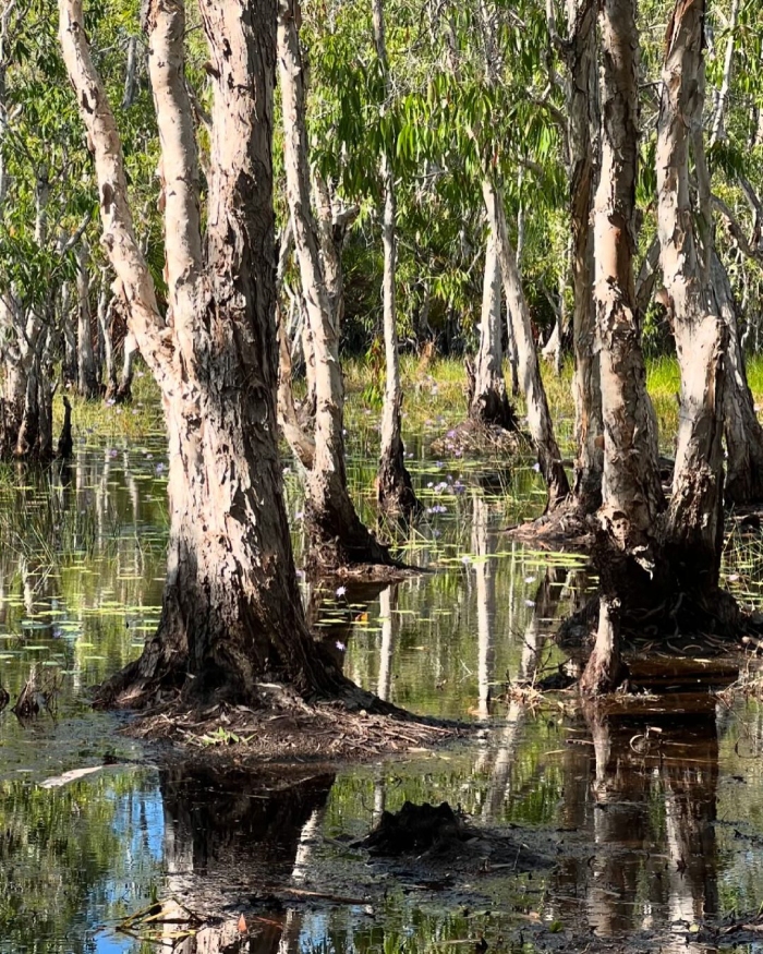 Arnhem Land Úc