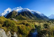 Cập nhật kinh nghiệm du lịch New zealand đầy đủ, chính xác