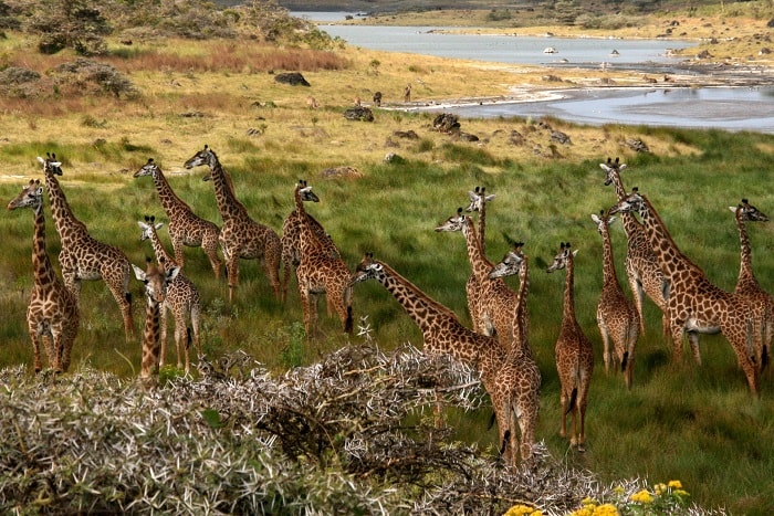 Kinh nghiệm du lịch Tanzania