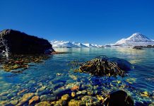 Lựa chọn thời điểm đẹp nhất du lịch Iceland