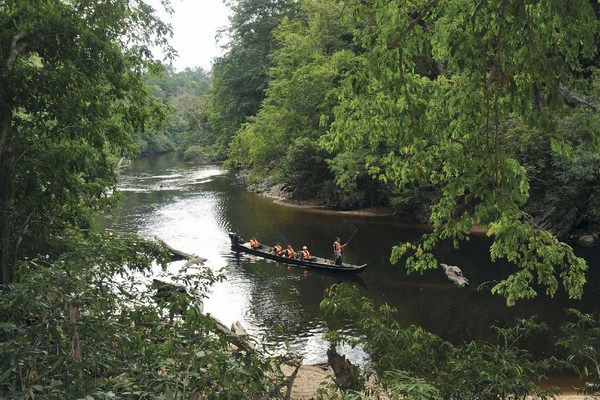 Vườn quốc gia Taman Negara,du lịch Malaysia