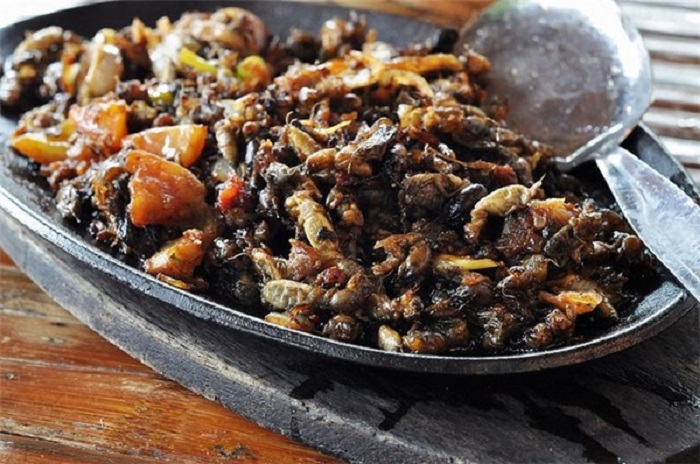 Món ăn từ côn trùng cực kì bổ dưỡng ở Philippines