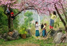 Kinh nghiệm du lịch Hòa Bình đi về trong 1 ngày thoải mái check in