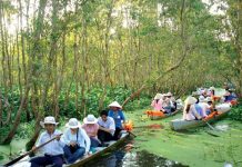 Kinh nghiệm du lịch Miền Tây từ A đến Z