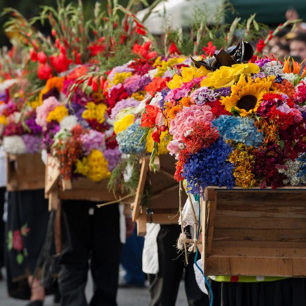 Lễ hội hoa ở Colombia
