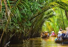 Du lịch Bến Tre 1 ngày lịch trình đơn giản khám phá hết mọi thứ ở đây