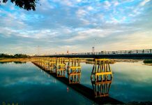 Giải đáp câu hỏi du lịch Quảng Ngãi nên đi đâu cho bạn trẻ yêu du lịch