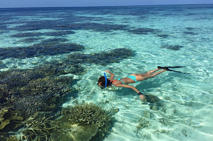 Khám phá đảo Coral Thái Lan – Thiên đường san hô dưới hạ giới