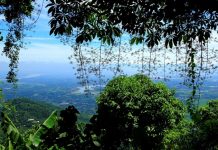 Rủ nhau “đi trốn” cuối tuần với 5 địa điểm hấp dẫn ngay cạnh Hà Nội