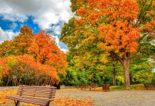 Đừng bỏ lỡ du lịch mùa thu Canada – mùa đẹp nhất trong năm