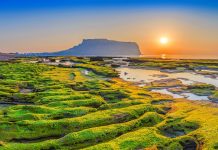 Kinh nghiệm du lịch Jeju tự túc thật dễ dàng và tiết kiệm
