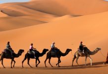 Có thể bạn cần kinh nghiệm đến sa mạc Safari Dubai này!