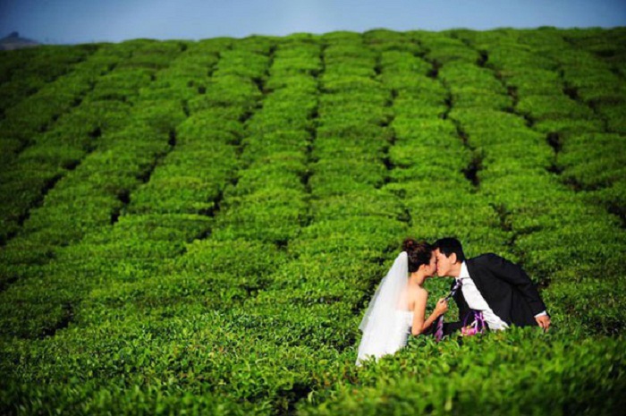 địa điểm chụp ảnh cưới đẹp tại Đà Lạt