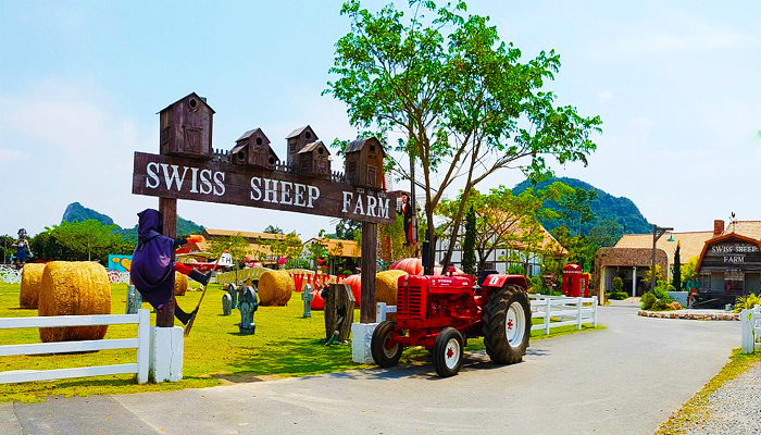 Swiss Sheep Farm tuyệt đẹp và thơ mộng