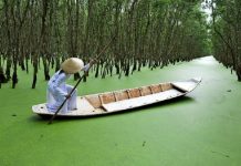 Những kinh nghiệm du lịch An Giang bạn cần phải biết trước khi đến đây