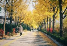 Tiết kiệm chi phí với những địa điểm du lịch miễn phí tại Seoul