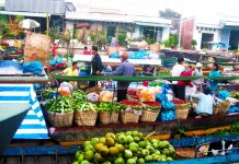 Những địa điểm du lịch nổi tiếng nhất tại Cà Mau mà bạn không nên bỏ lỡ