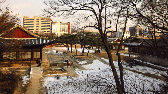 Tham quan cung Changgyeonggung 