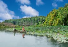 Tổng hợp những kinh nghiệm du lịch Long An cần thiết nhất kinh nghiệm du lịch Long An