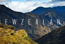 Kinh nghiệm du lịch Wellington – thủ đô lộng gió của đất nước New Zealand kinh nghiệm du lịch Wellington