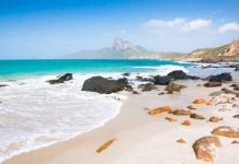 Bạn đã biết nên mua gì làm quà khi đi du lịch Côn Đảo chưa? nên mua gì làm quà khi đi du lịch Phú Quốc