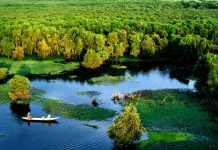 Những địa điểm du lịch nổi tiếng tại Long An mà bạn không nên bỏ qua những địa điểm du lịch nổi tiếng tại Long An