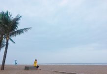 Kinh nghiệm du lịch biển Quất Lâm – bãi biển nổi tiếng tại tỉnh Nam Định kinh nghiệm du lịch biển Quất Lâm