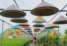 Kinh nghiệm du lịch Sa Đéc – thiên đường của các loài hoa tại miền Tây