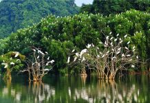 Những địa điểm du lịch nổi tiếng tại Bến Tre không nên bỏ qua