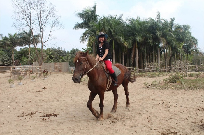 Cưỡi ngựa tại Khu du lịch Vườn Xoài Đồng Nai