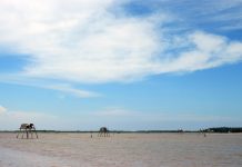 Kinh nghiệm du lịch biển Đồng Châu – bãi biển tuyệt đẹp tại Thái Bình kinh nghiệm du lịch biển Đồng Châu