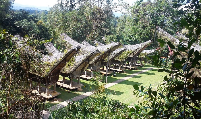 Ngồi làng Tana Toraja