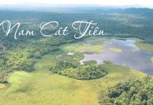 Tổng hợp những kinh nghiệm du lịch vườn quốc gia Nam Cát Tiên kinh nghiệm du lịch vườn quốc gia Nam Cát Tiên