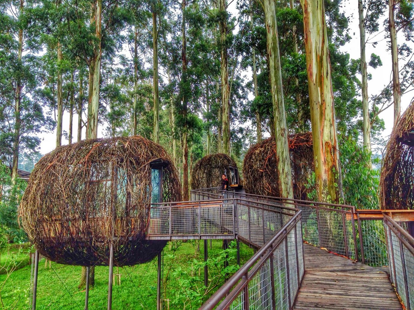 Khu du lịch Dusun Bambu