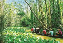 Kinh nghiệm du lịch Đồng Tháp – điểm đến tuyệt vời tại Miền Tây kinh nghiệm du lịch Đồng Tháp