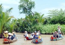 Kinh nghiệm du lịch cù lao Thới Sơn – thiên đường miệt vườn tại Miền Tây kinh nghiệm du lịch cù lao Thới Sơn