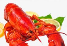 Những món ăn nổi tiếng của Canada đã đi là không thể không thưởng thức Tôm hùm Canada