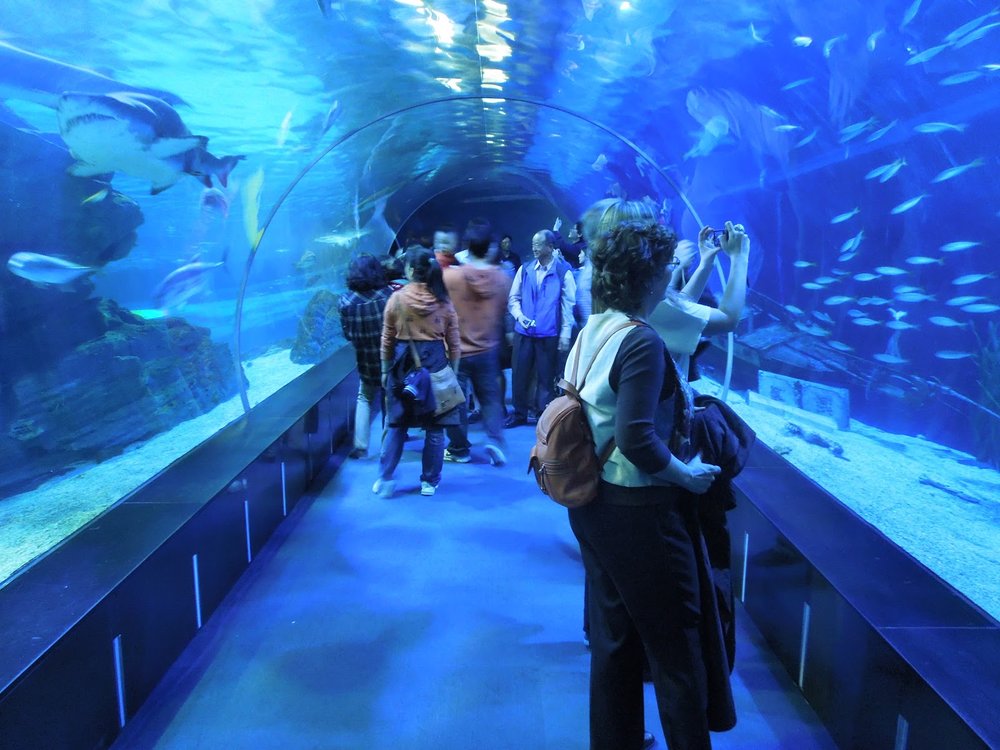 Thủy cung Busan Aquarium