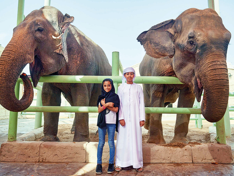 Công viên động vật hoang dã Ả Rập