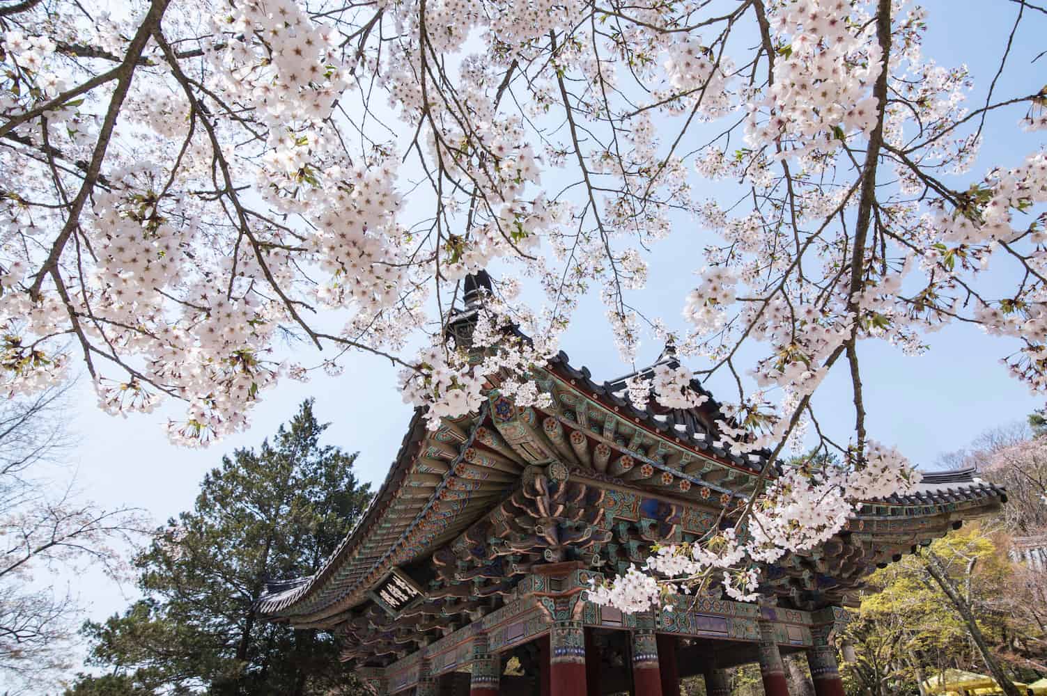 kinh nghiệm du lịch Gyeongju