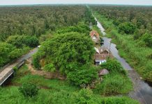 Hòa mình với thiên nhiên tại rừng quốc gia U Minh Hạ, Cà Mau kinh nghiem du lich U Minh Ha