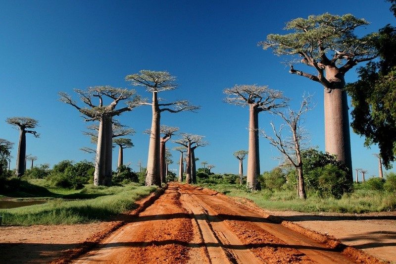 kinh nghiem du lich Madagascar