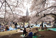 Bật mí danh sách những địa điểm ngắm hoa anh đào đẹp nhất tại Tokyo nhung dia diem ngam hoa anh dao dep nhat tai Tokyo