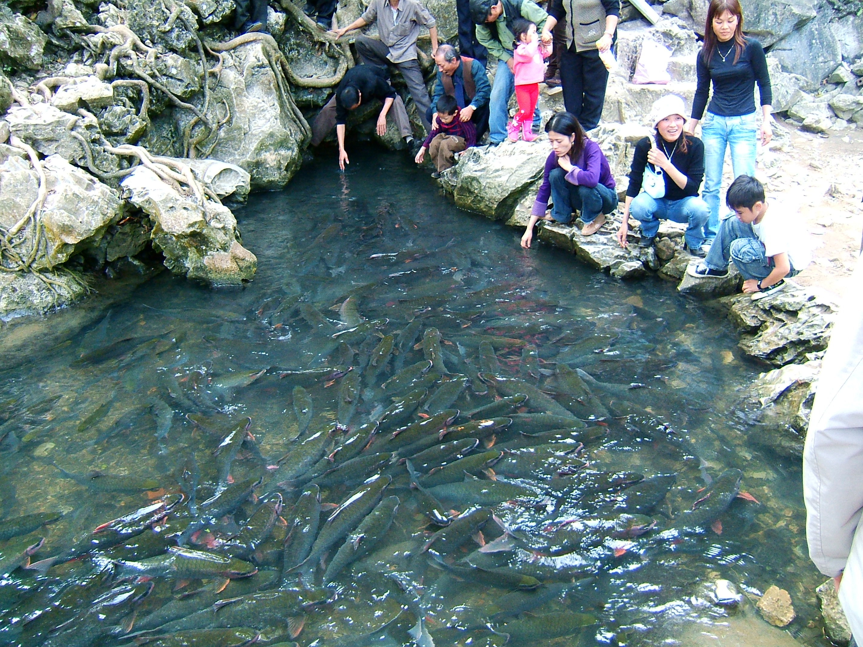 famous tourist destination in Thanh Hoa