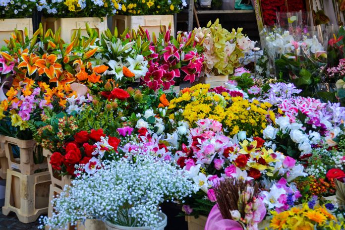 chợ hoa Quảng Bá - trải nghiệm thú vị tại Hà Nội